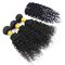 Estensioni vergini malesi naturali dei capelli/capelli ricci malesi con chiusura bassa di seta fornitore