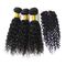Estensioni vergini malesi naturali dei capelli/capelli ricci malesi con chiusura bassa di seta fornitore