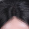 Parrucche vergini pure del pizzo dei capelli/parrucche anteriori del pizzo per la seta delle donne di colore diritto fornitore