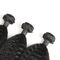 Pacchi malesi a 12 pollici dei capelli ricci di Remy con controllo di qualità rigoroso della chiusura fornitore
