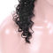 Parrucche naturali dei capelli umani della parte anteriore autentica del pizzo nessun servizio sintetico dell'OEM dei capelli fornitore